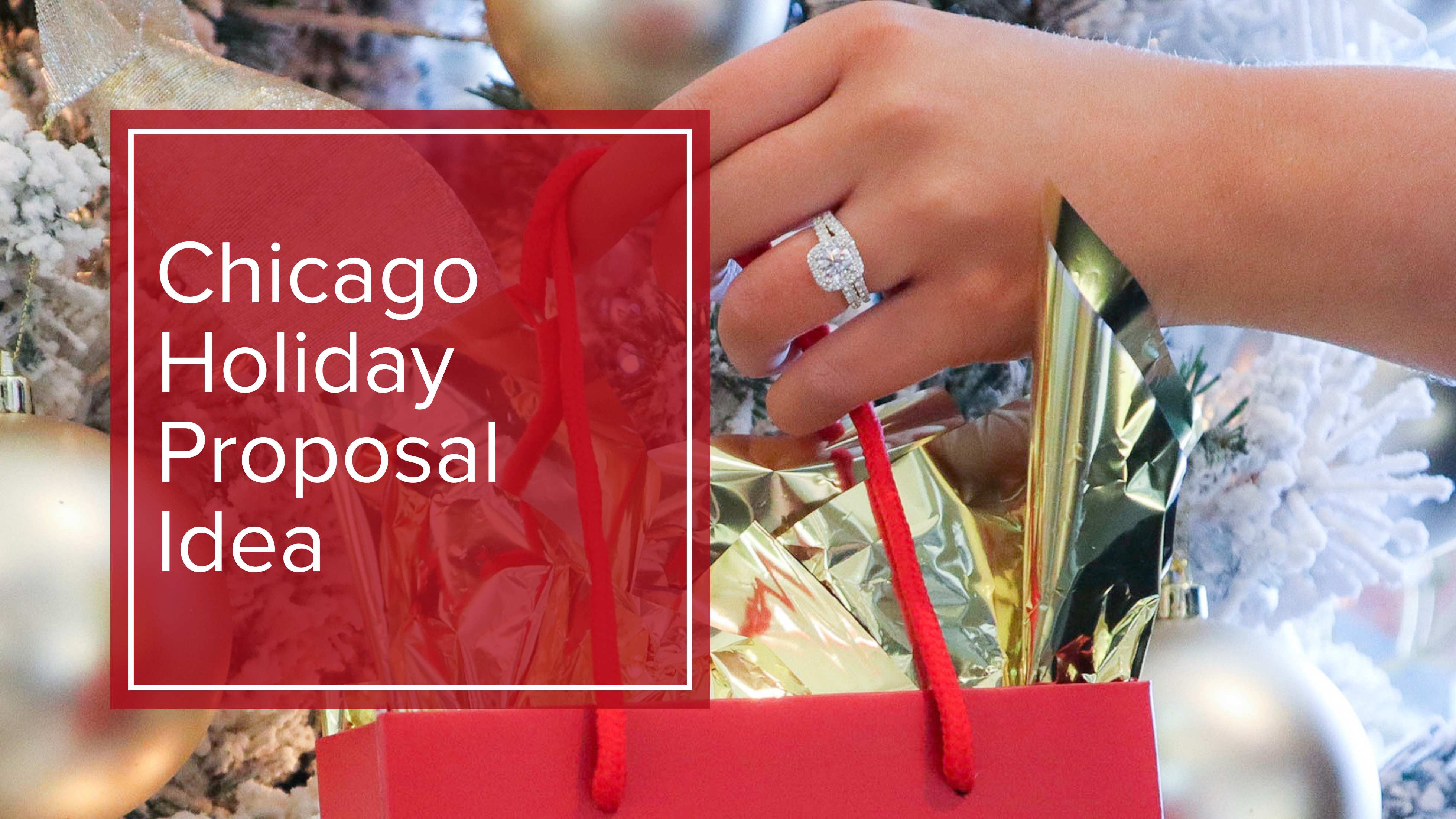 CHICAGO HOLIDAY PROPOSAL IDEA