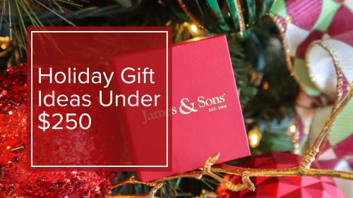 Holiday Gift Ideas Under $250